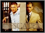 Wentworth Miller, kraty